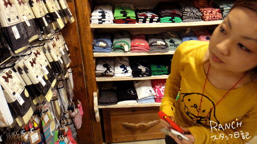 d0181266_174417100.gif