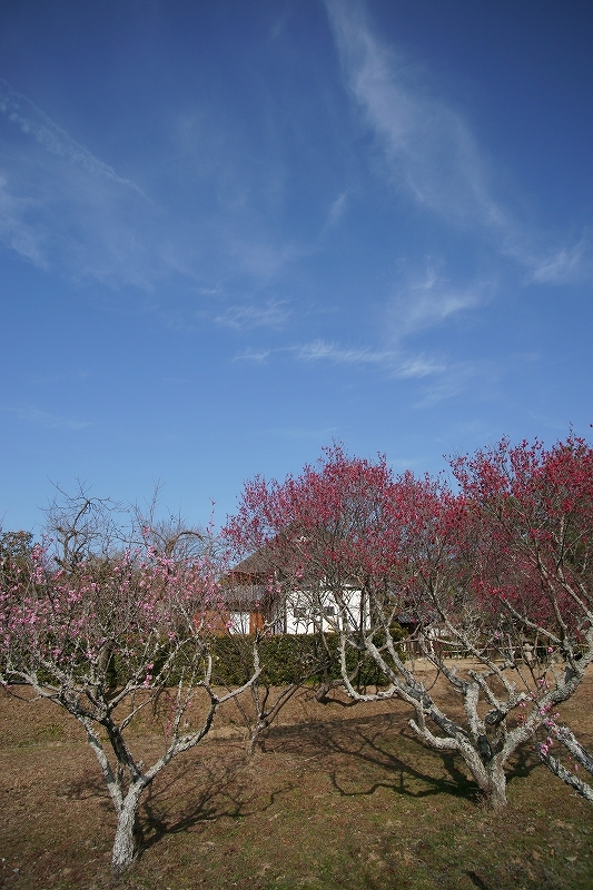 b0198768_1858356.jpg