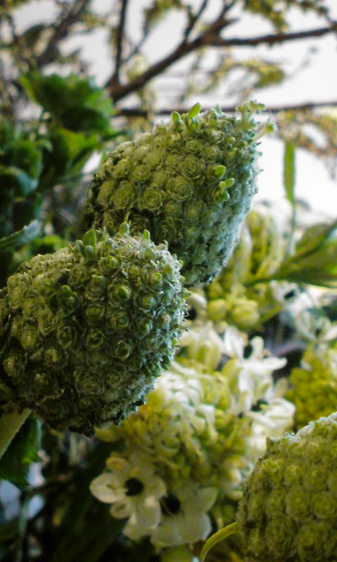 f0220768_17464759.jpg