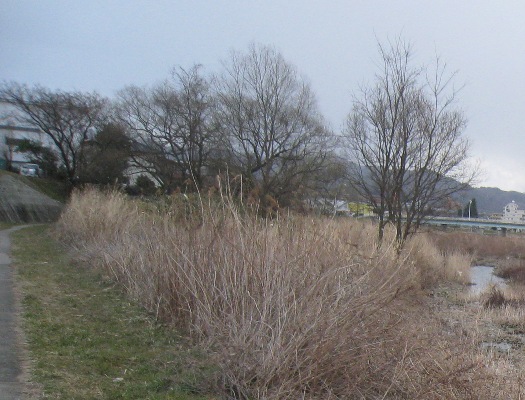板橋のイメージを求めて③~旧八木田板橋_a0087378_5513571.jpg