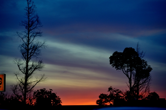 b0204383_883318.jpg