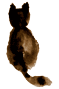 a0123986_1125773.gif