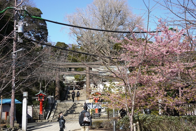 a0127090_20283585.jpg