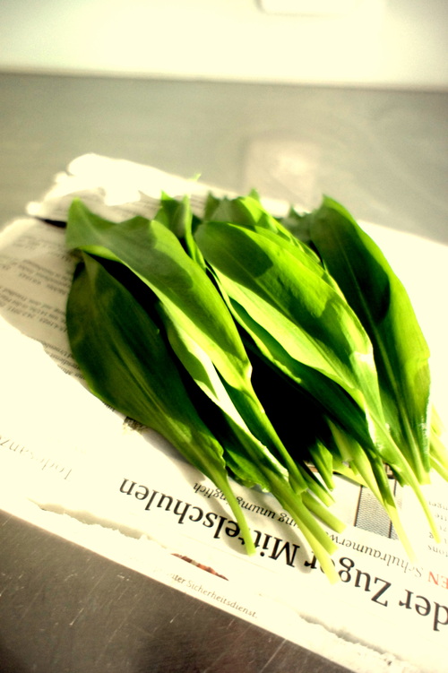 くまねぎ Nappaのスイス日記