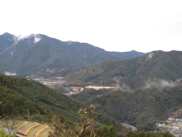 e0126594_90575.jpg