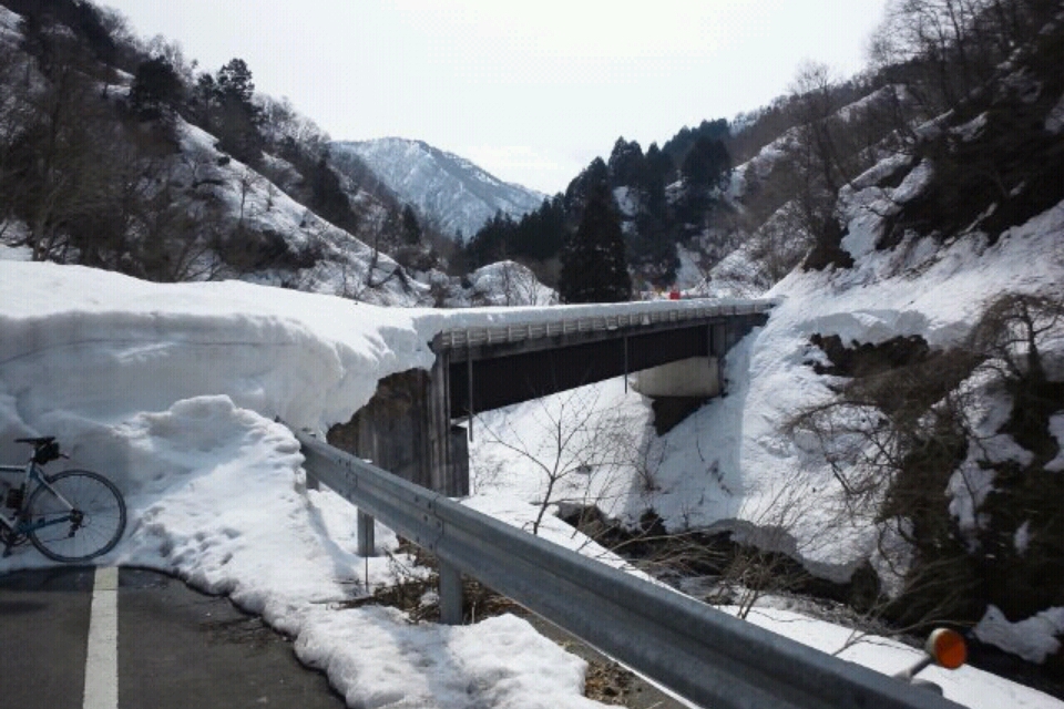 e0099496_2043977.jpg