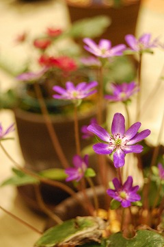 c0124100_23411224.jpg