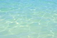 e0015700_9132338.jpg