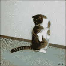 c0072801_6101660.gif
