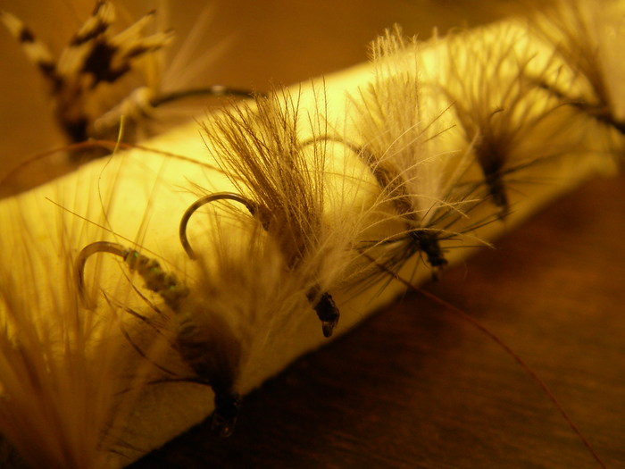 c0180802_2318640.jpg