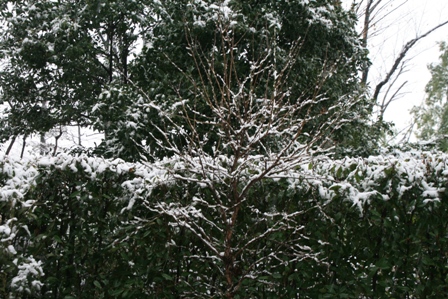 c0128303_2223280.jpg