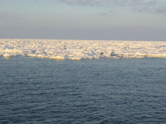 e0192203_10562029.jpg
