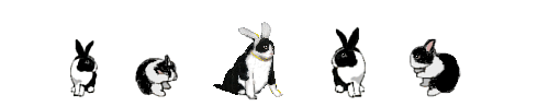 d0028304_12583618.gif