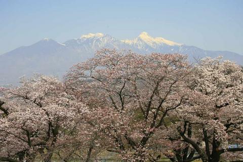 a0188405_23113431.jpg