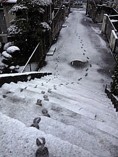 e0131506_23402059.jpg