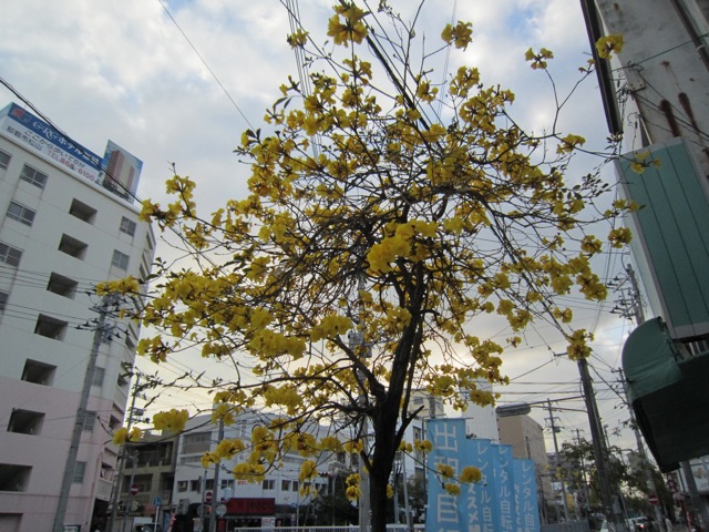 f0159406_17415472.jpg