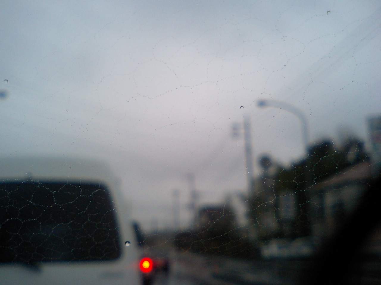 f0155808_96286.jpg