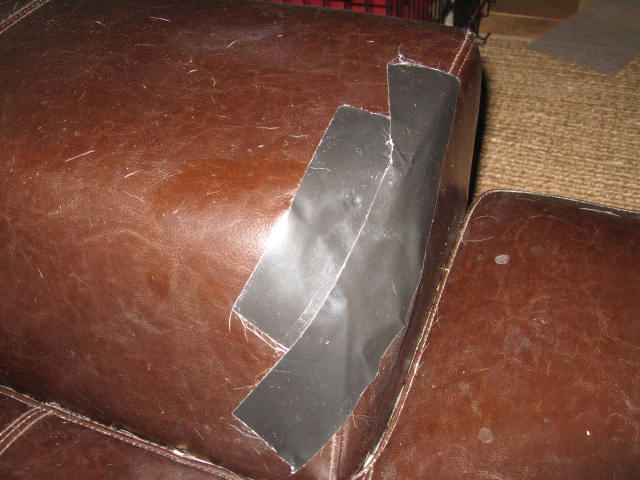 f0036409_049237.jpg