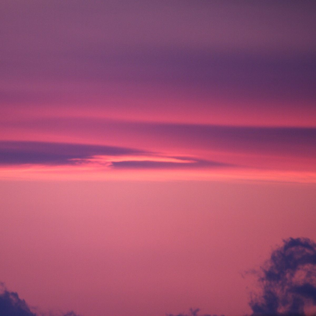 e0142611_128548.jpg