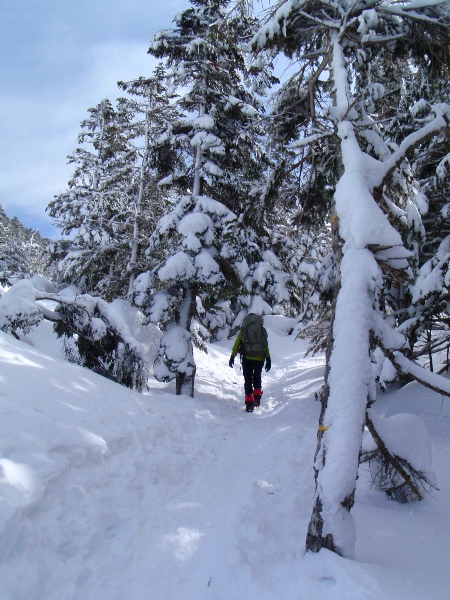 débutの雪山＠八ヶ岳 東天狗岳_c0177814_20414677.jpg