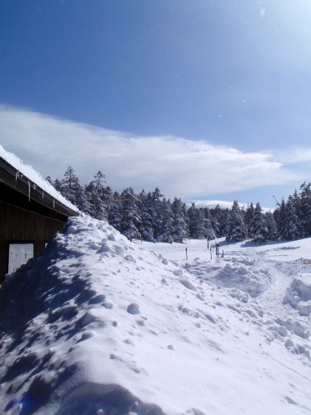 débutの雪山＠八ヶ岳 東天狗岳_c0177814_20425880.jpg