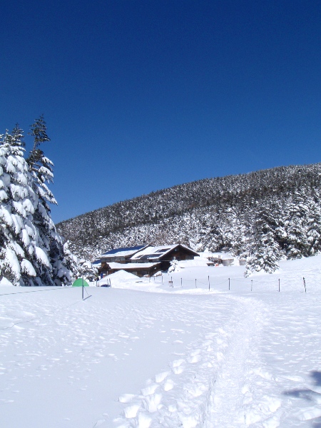 débutの雪山＠八ヶ岳 東天狗岳_c0177814_20435252.jpg