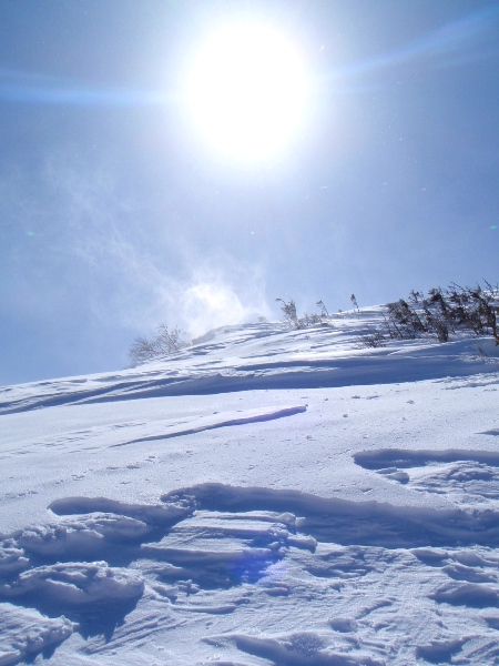 c0177814_20463277.jpg