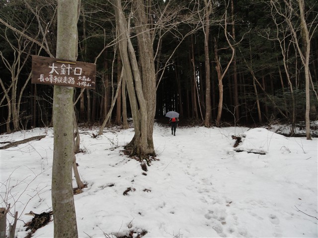 a0127015_18543133.jpg