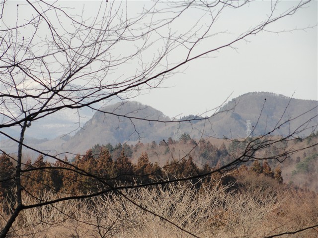 a0127015_1901112.jpg