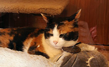 a0087818_1828623.jpg