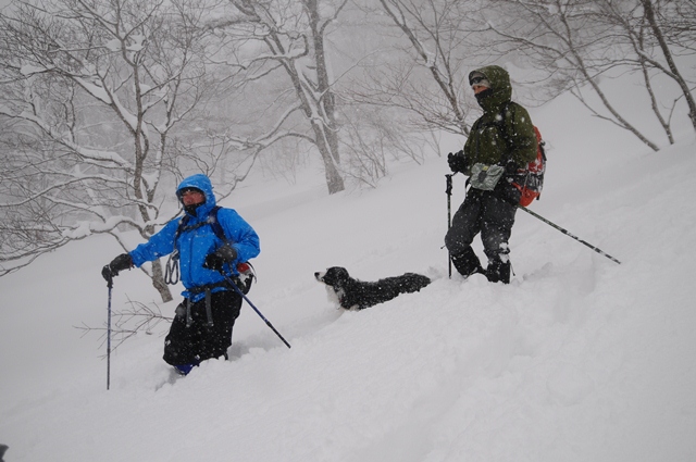 そろそろ 雪山シーズンも終わりか？_b0119620_21332027.jpg