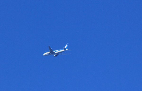 e0125220_0102270.jpg