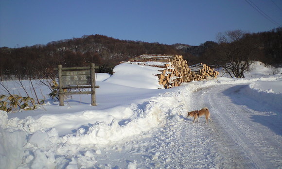 e0227023_21242892.jpg