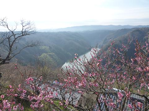 b0138430_2091321.jpg
