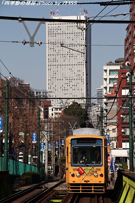a0195032_21135272.jpg