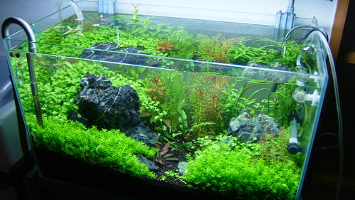 ADA60P 3 / 2011.3.7_e0177832_0101319.jpg