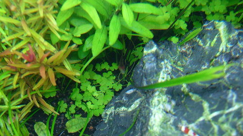 ADA60P 3 / 2011.3.7_e0177832_0113198.jpg