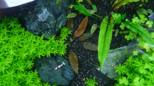 ADA60P 3 / 2011.3.7_e0177832_0123619.jpg