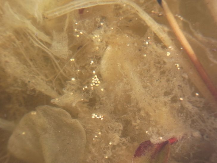 d0209934_23494554.jpg