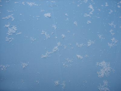 e0097534_11473175.jpg