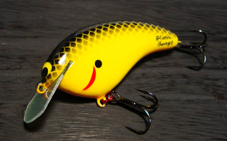 ルアー・フライ FD custom baits Amazon.co.jp: FD custom baits × skillful クランクベイト