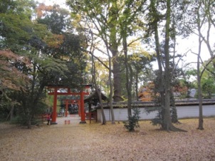 そうだ、京都行こう！～下賀茂神社～_d0144742_22373478.jpg