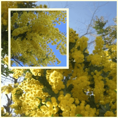 f0031546_2229402.gif