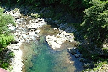 b0025850_11521.jpg