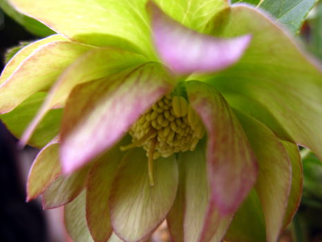c0147952_21592849.jpg