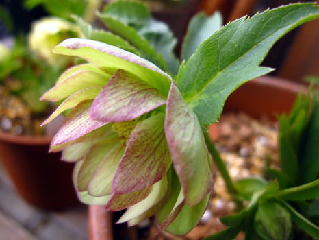 c0147952_2201247.jpg