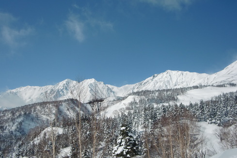 f0209354_6205215.jpg