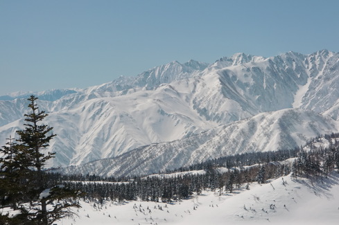 f0209354_6231866.jpg