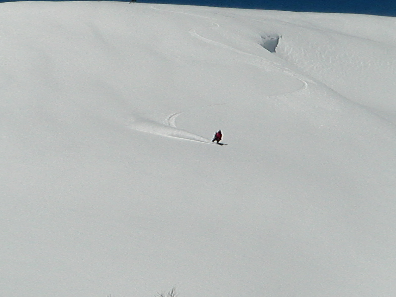 f0209354_6301879.jpg