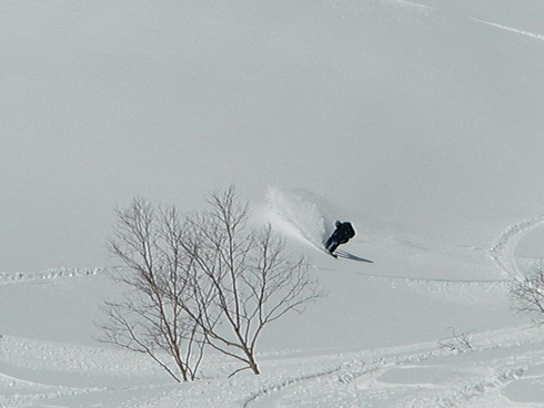 f0209354_7451940.jpg